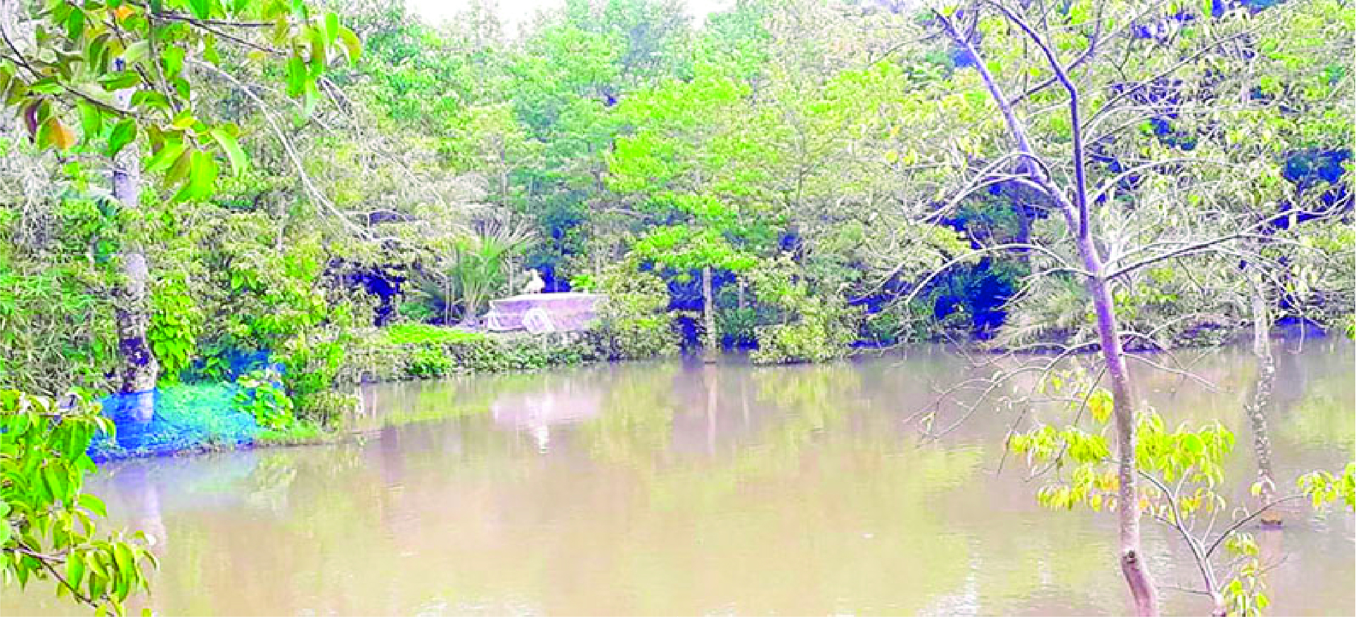 Image of আলম সরদার